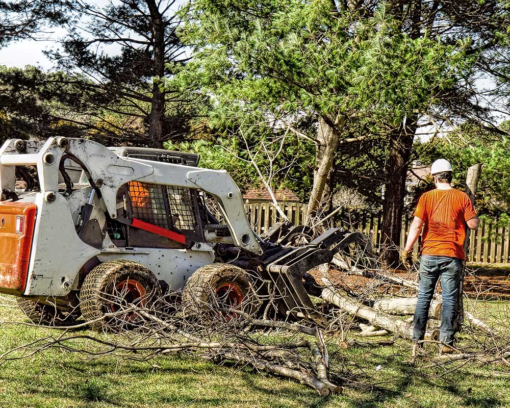 Tree Service Pro Sacramento 