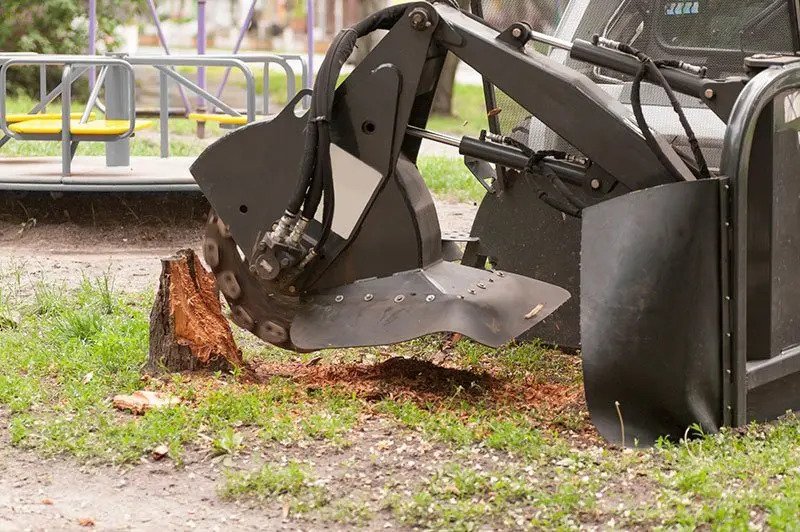 Stump Removal