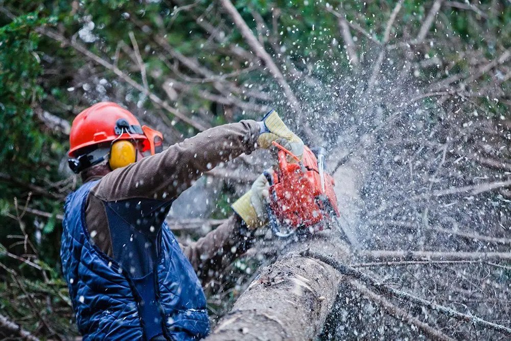 Fair Oaks Emergency Tree Removal