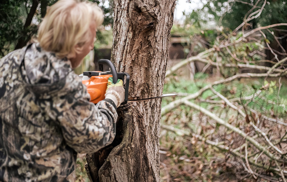 A Comprehensive Guide to Tree Removal Permits in Sacramento