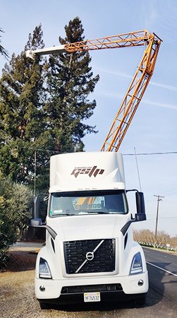 tree-services tree-services